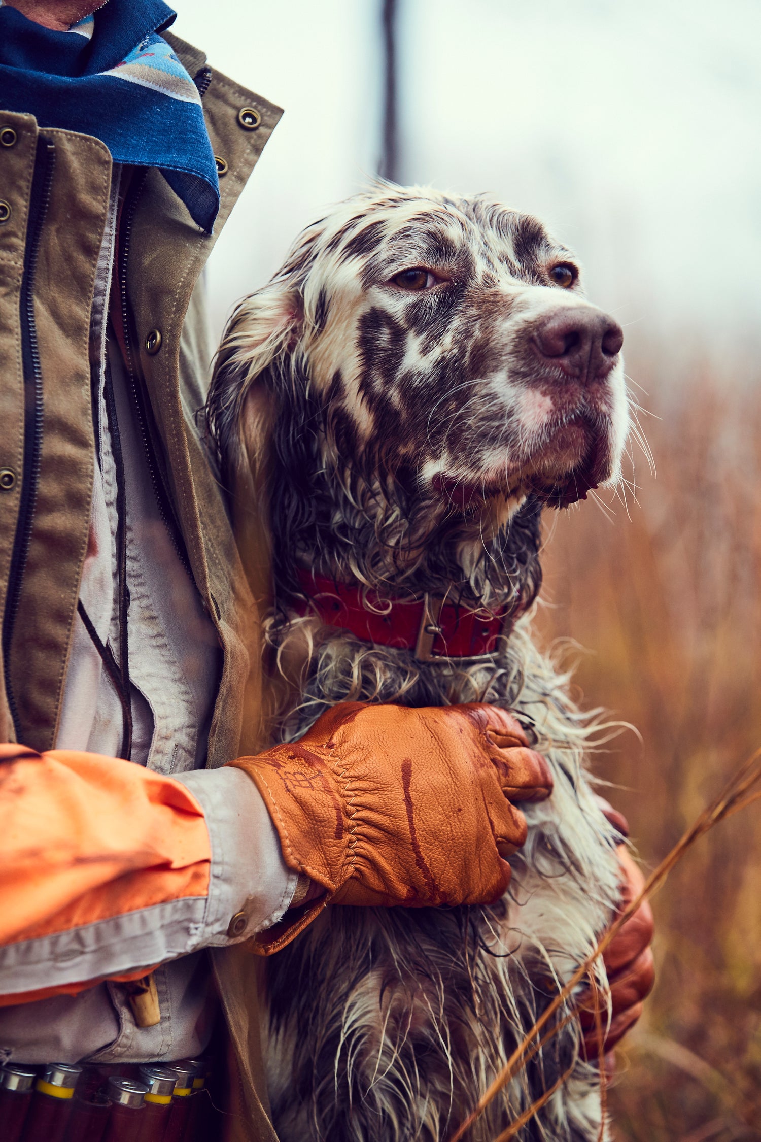 Garden & Gun: A Perfect Day in the Field