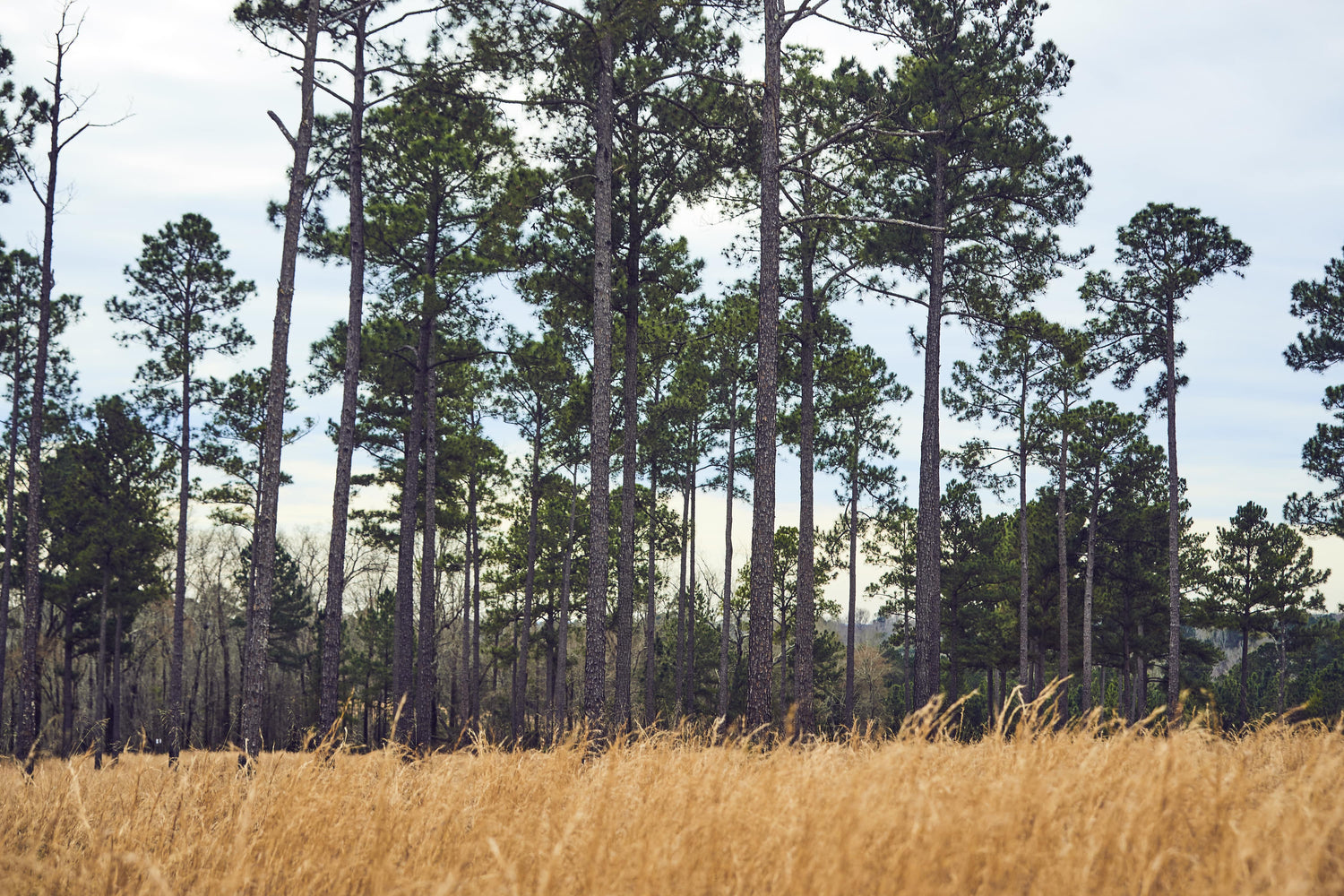 From the Editor at Large: Hometowns