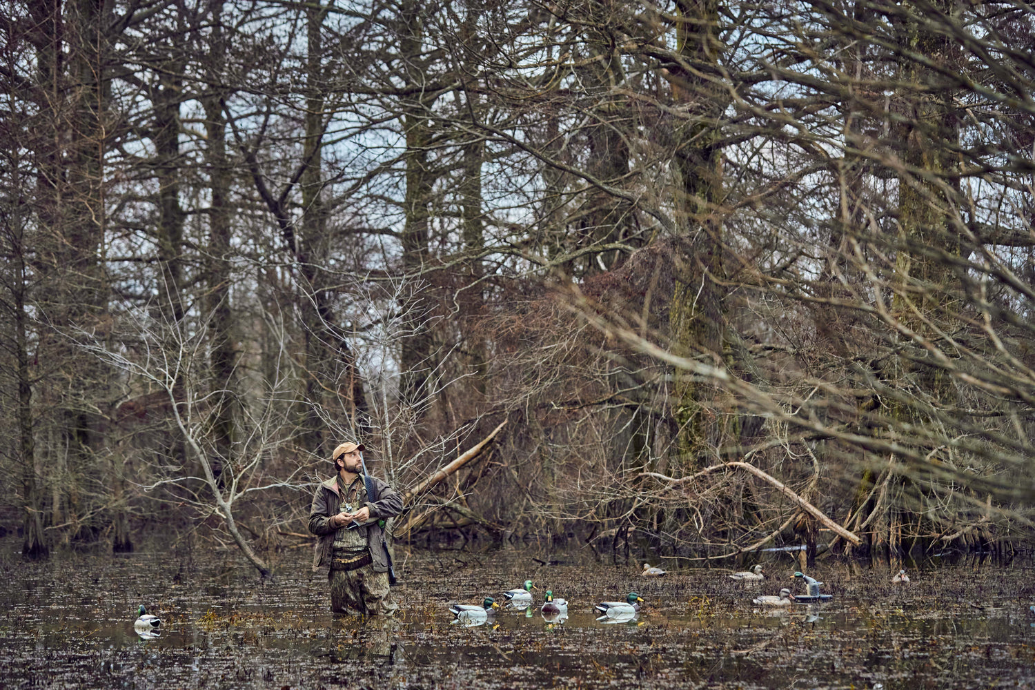 Mid-Season Waterfowl Report