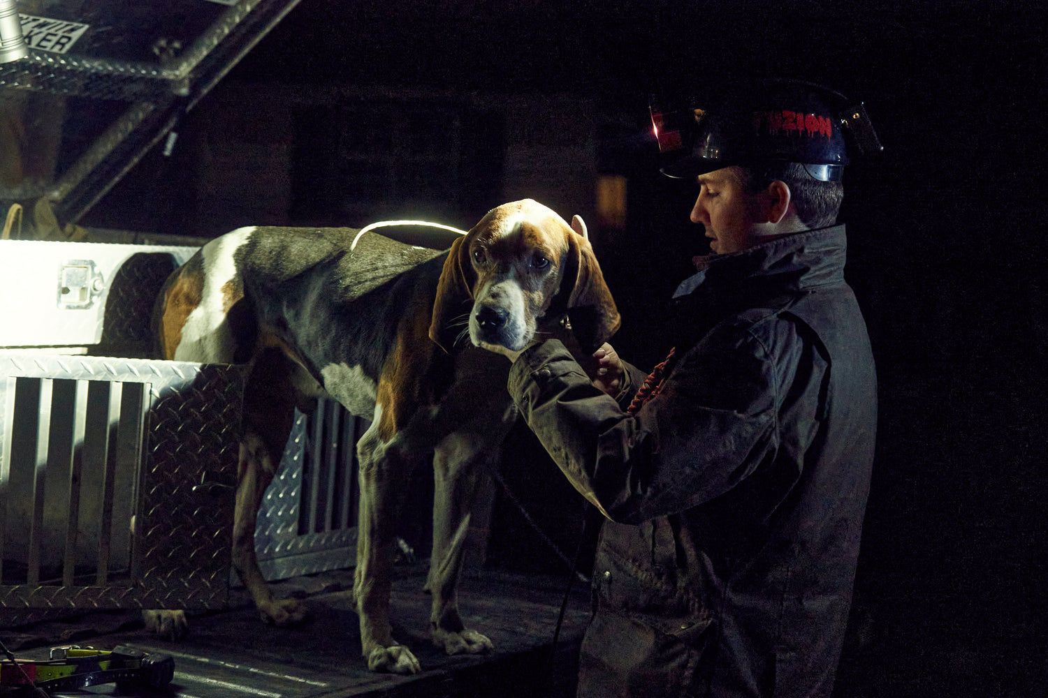Dispatch from the Field: Hounds