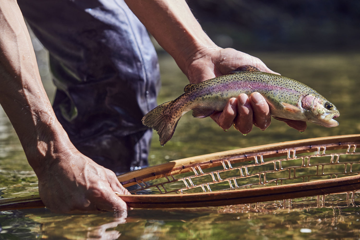 A Grandfather's Luck and Legacy
