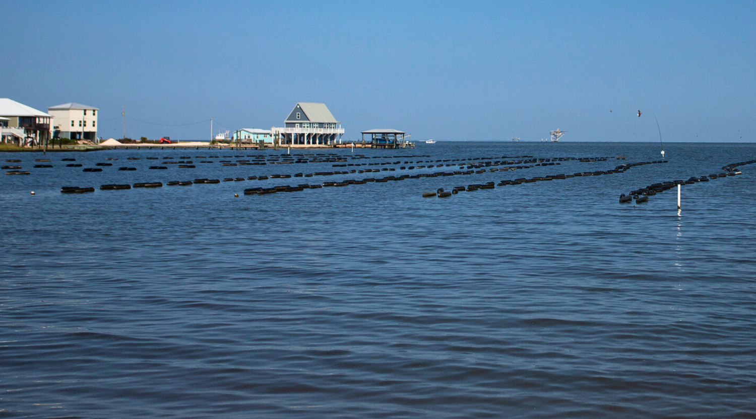 Merroir In Mobile Bay