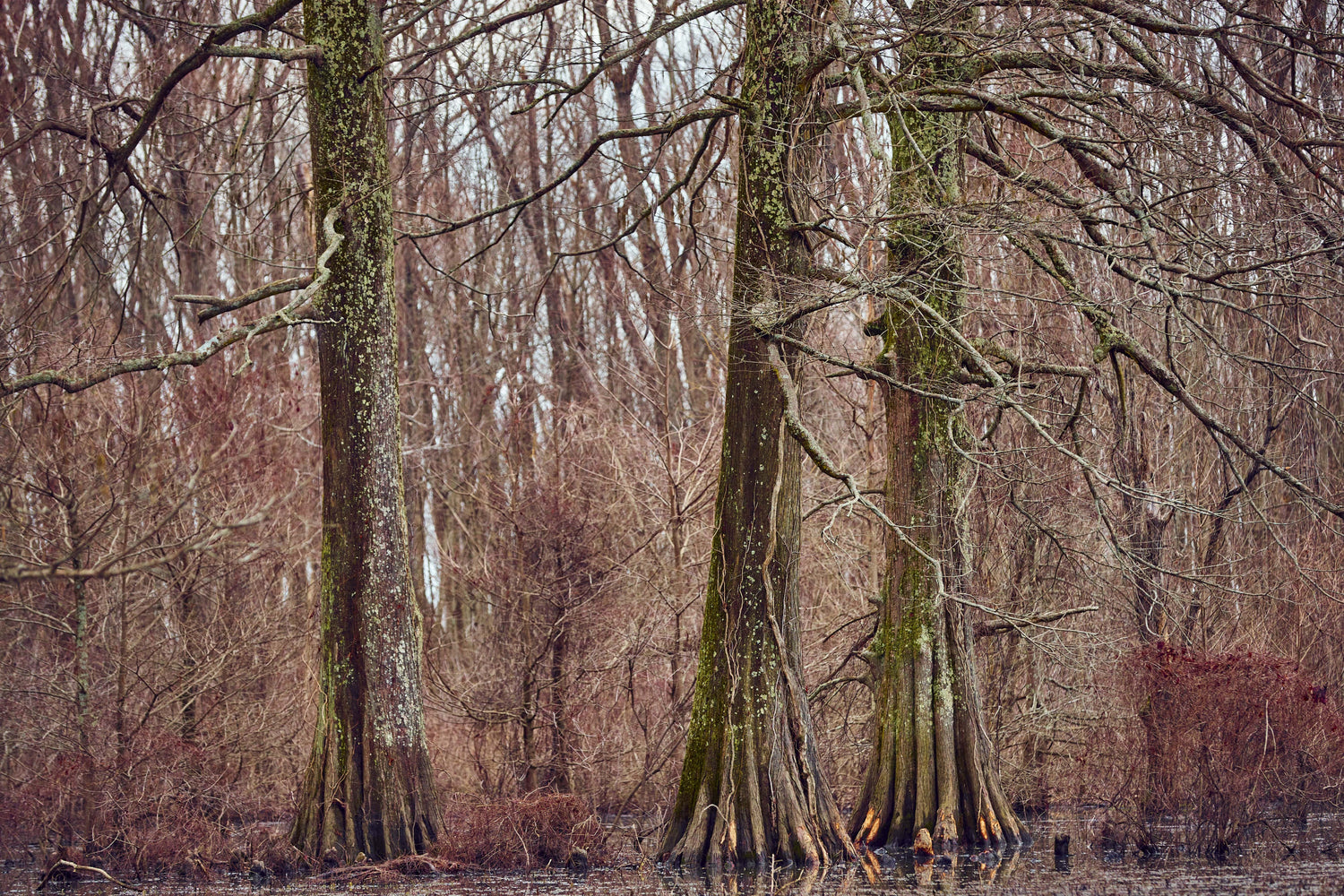 Waterfowlers: Three Ways to Make the Most of the Off Season