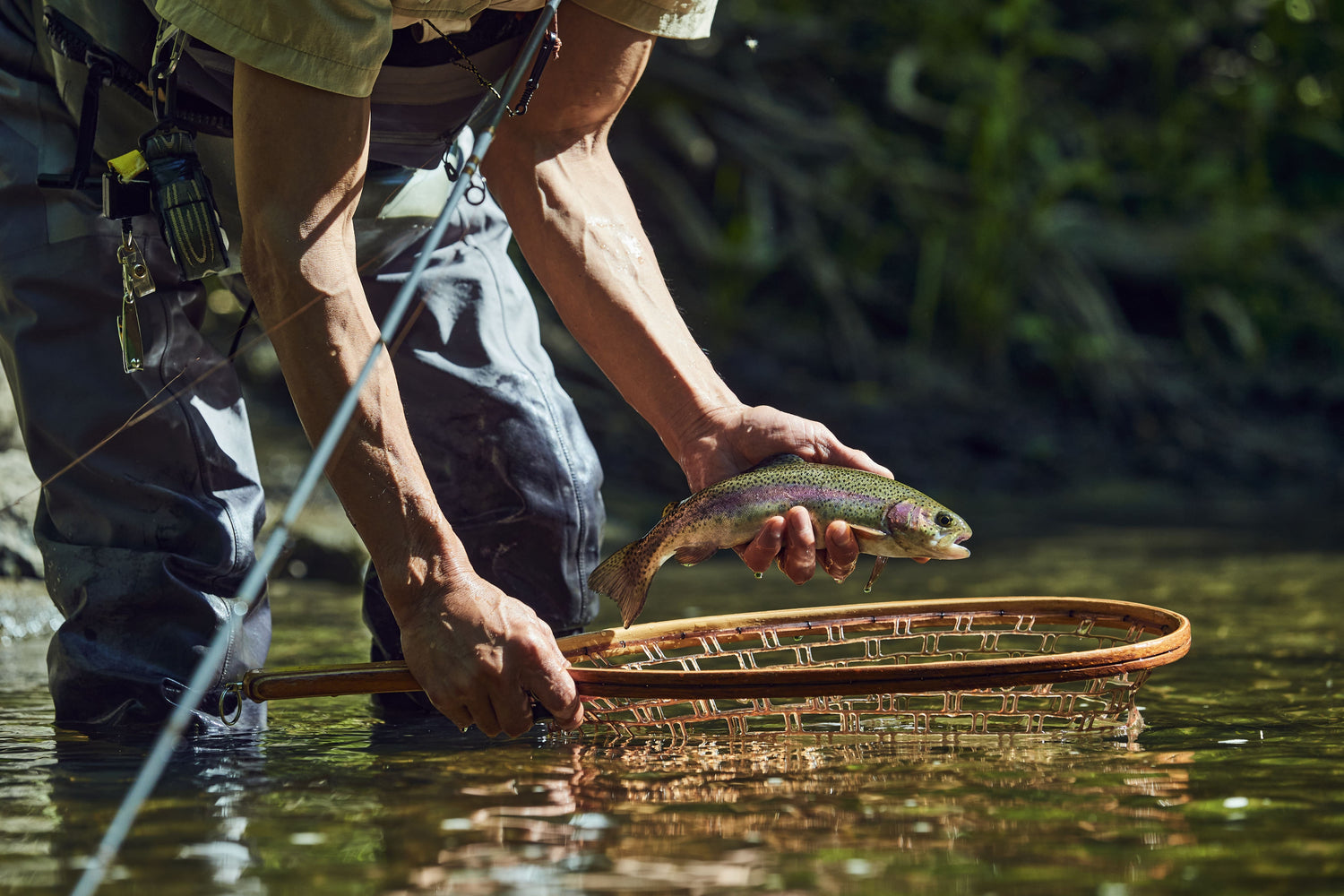 The Gospel of Angling