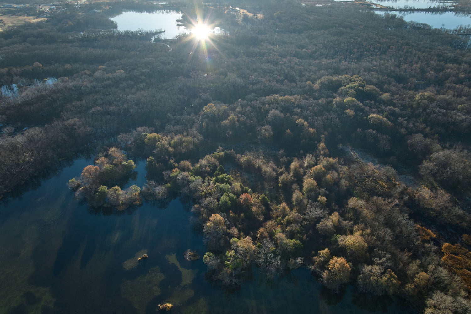 From the Editor at Large: The Pursuit of Awe