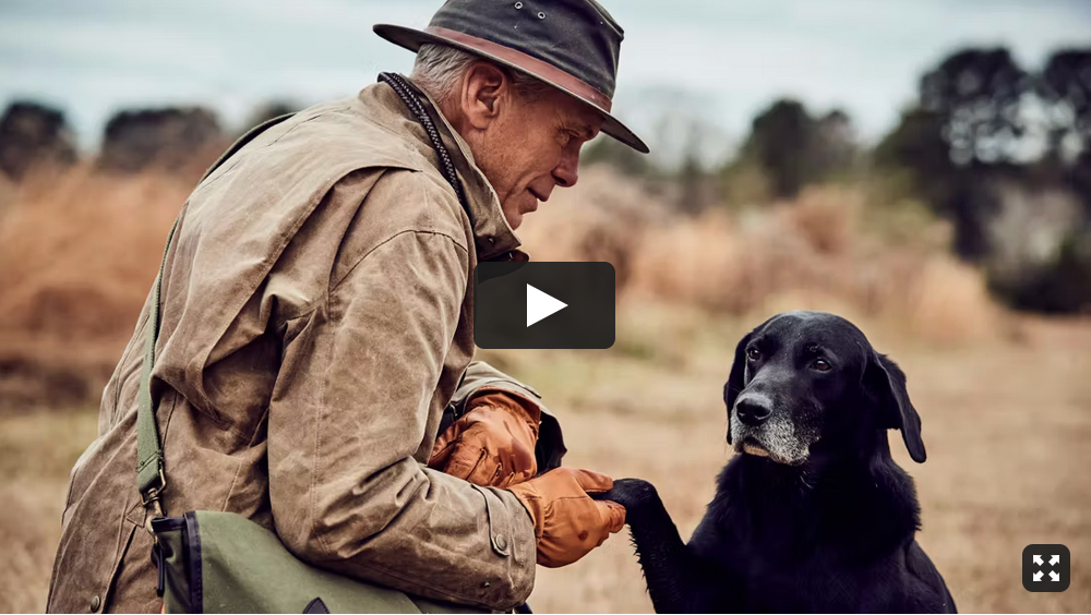 The Wildrose Journal: Tom Beckbe Upland Gundog Series