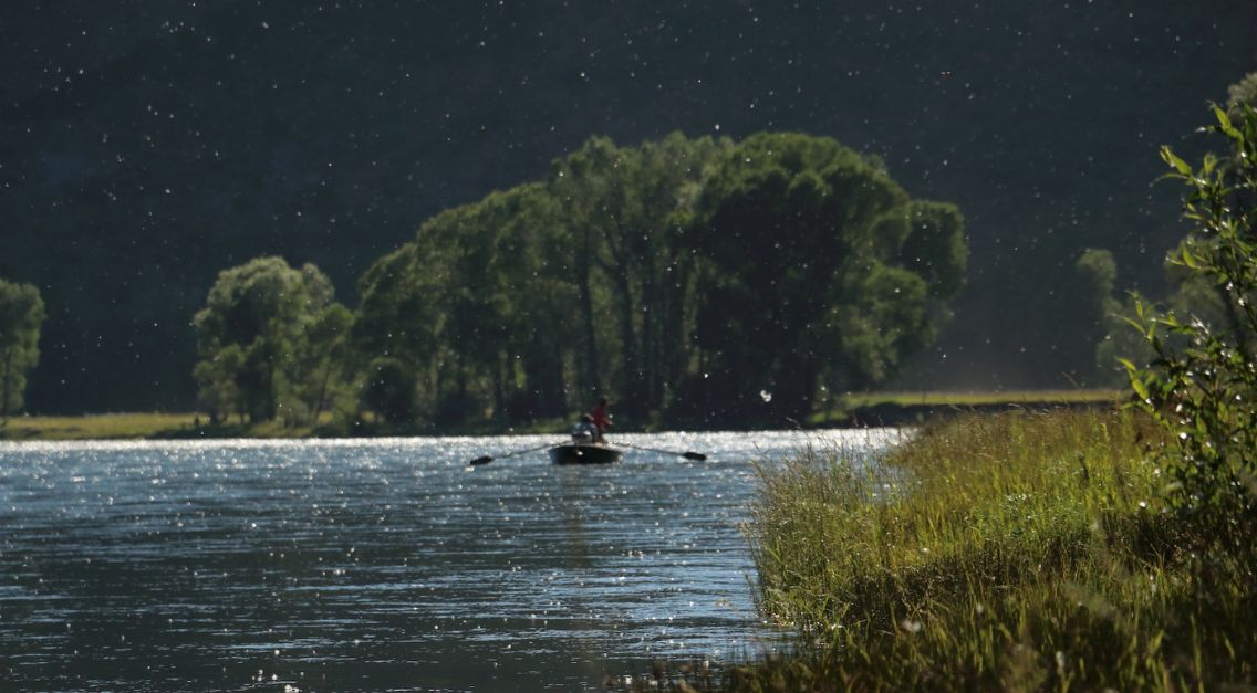 Fishing the Cotton Hatch