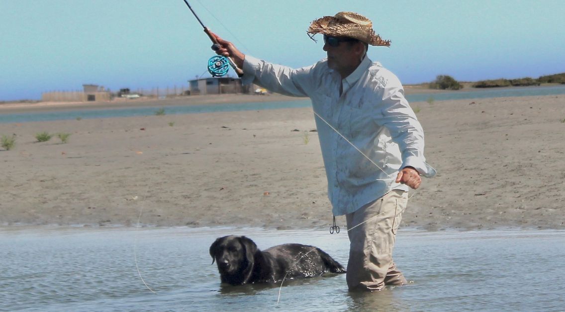 Man wearing straw hat and a Tom Beckbe long sleeve tidewater shirt fishes in Estero water with black labrador retreiver.