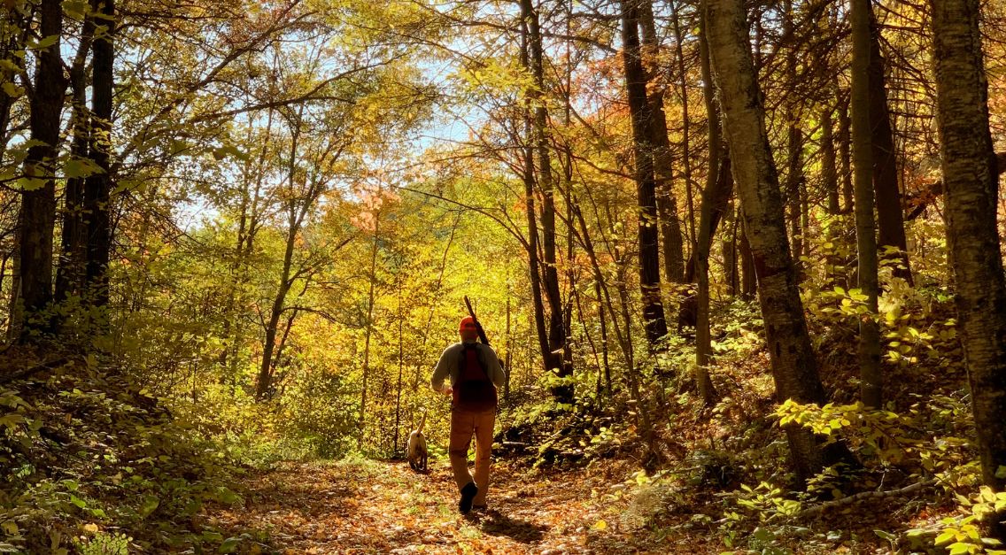 Take a Chef Hunting