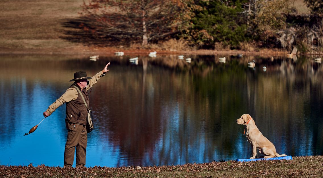 That Dog’ll Hunt, but Will She Fish?: Selecting and Training a Companion for All Seasons