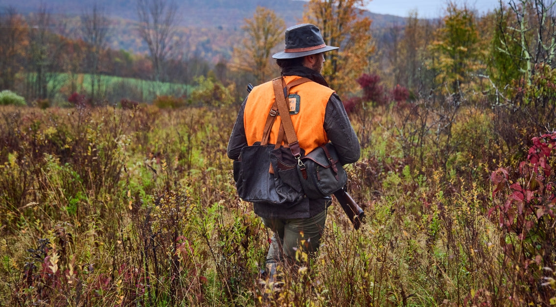 Wandering Wilderness