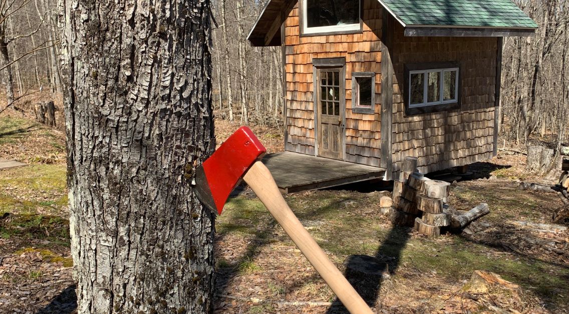 Axe in Tree Bark
