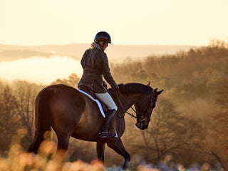A person wearing a helmet and jacket rides a horse outdoors at sunrise or sunset, with trees and hills in the background.
