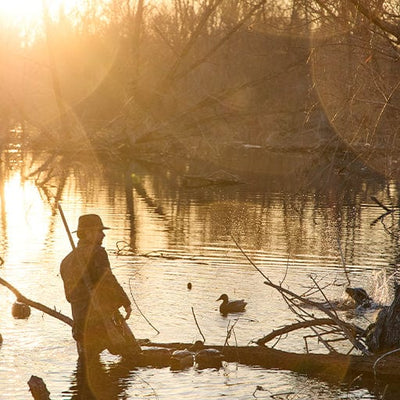 Person with a hat standing in a sunlit forest pond, surrounded by ducks and trees.