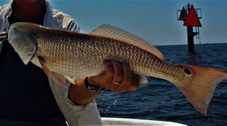 Person holding a large fish on a boat, with water and a red navigational marker in the background.