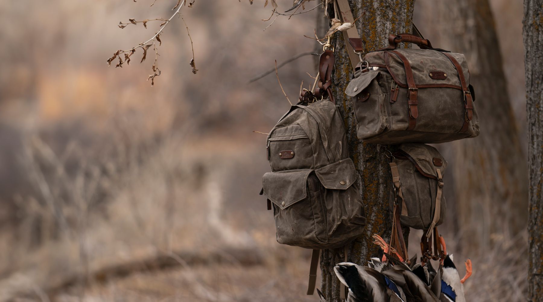 Two canvas backpacks hang from a tree branch outdoors, with duck decoys visible at the bottom of the image.