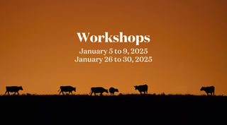 Silhouette of cattle against an orange sky with text: Workshops January 5-9, 2025, January 26-30, 2025.