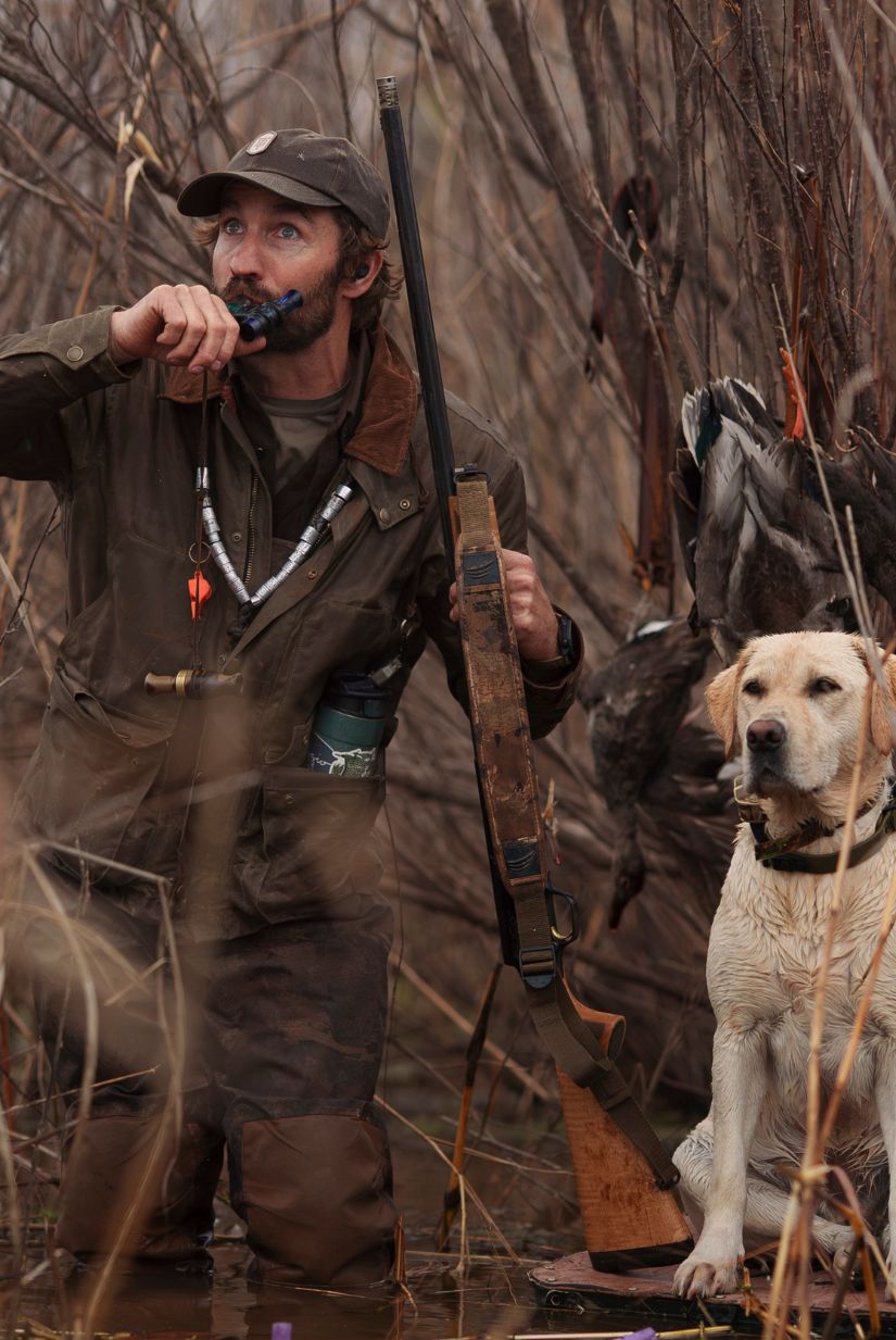 Man in hunting gear blows a duck call, holding a shotgun, with a retriever dog beside him in a marshy area.