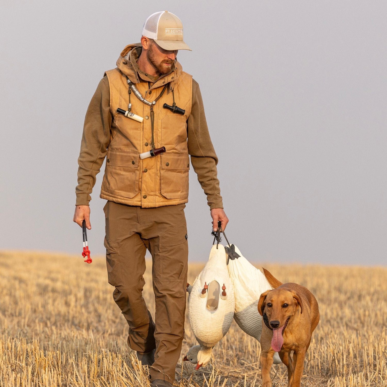 A man in outdoor attire carries two white birds and walks with a brown dog in a field, wearing a Tom Beckbe Fowler Vest.