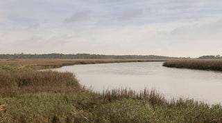 Wide river bend surrounded by marshland and grasses under a cloudy sky.