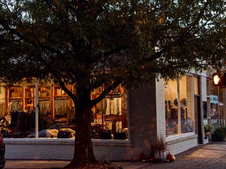 Tree in front of a clothing store with large windows displaying clothing and accessories, seen at dusk.